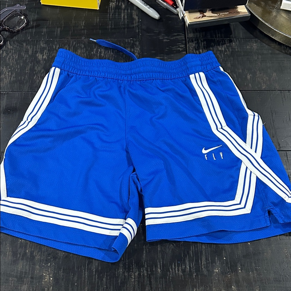 Nike Royal Blue Athletic Shorts with White Stripes